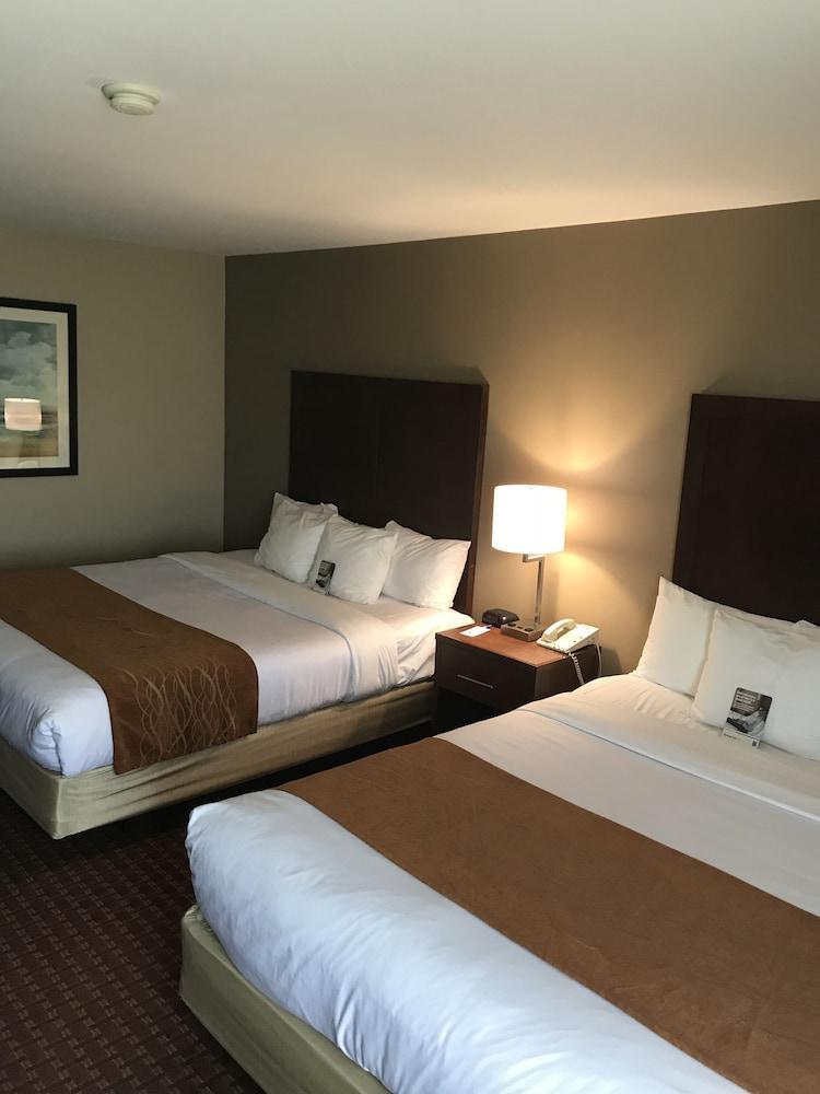 Comfort Inn Silicon Valley East Fremont Ngoại thất bức ảnh