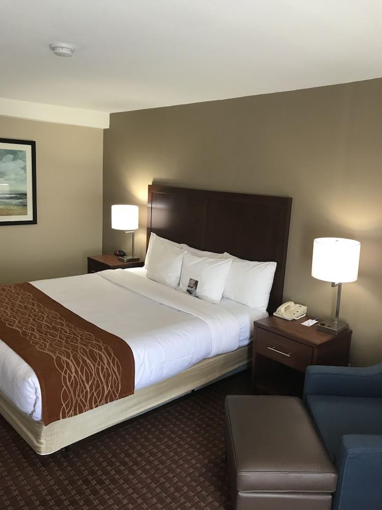 Comfort Inn Silicon Valley East Fremont Ngoại thất bức ảnh