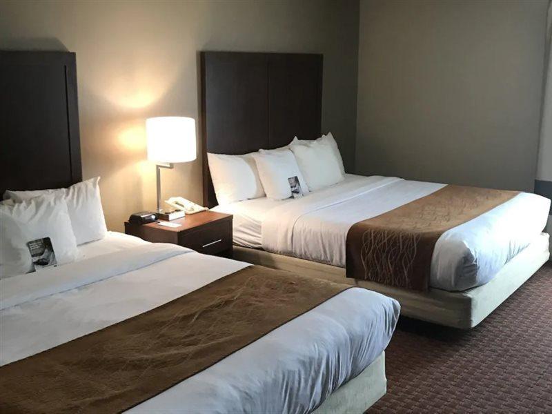 Comfort Inn Silicon Valley East Fremont Ngoại thất bức ảnh