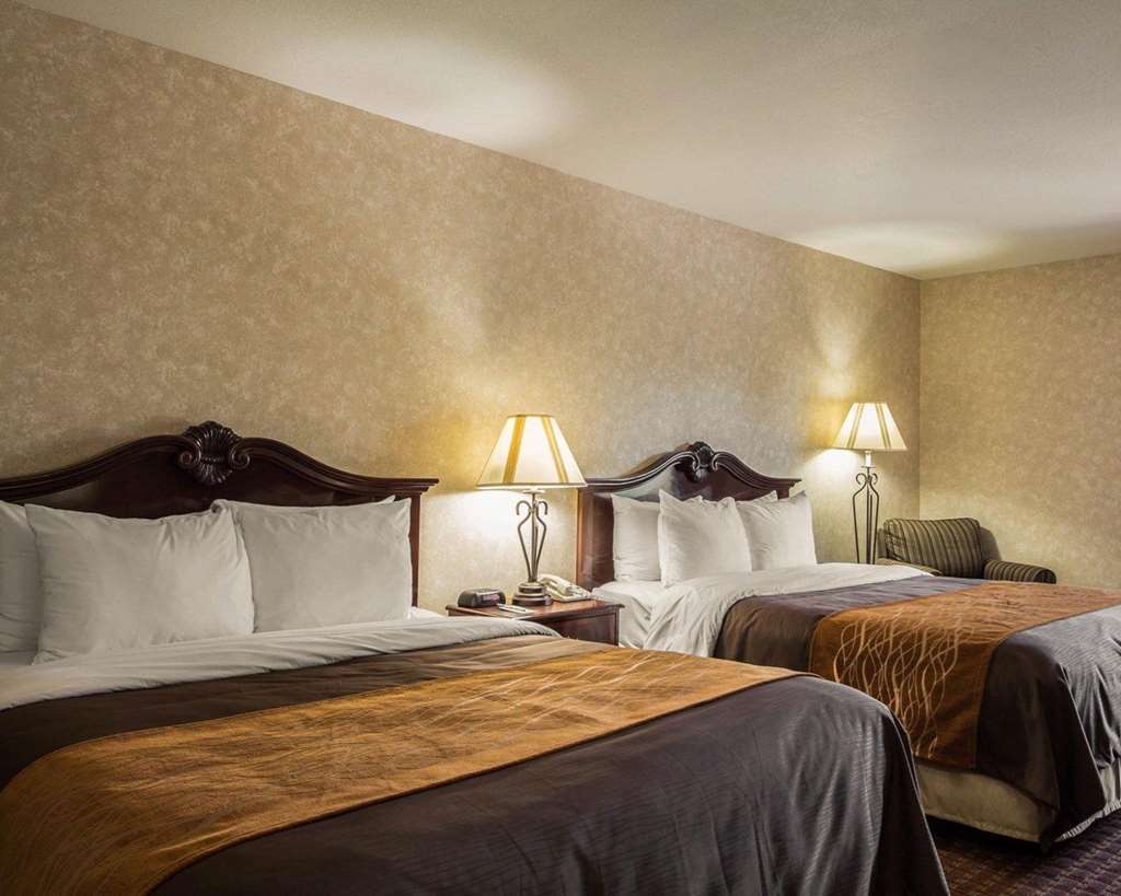 Comfort Inn Silicon Valley East Fremont Phòng bức ảnh