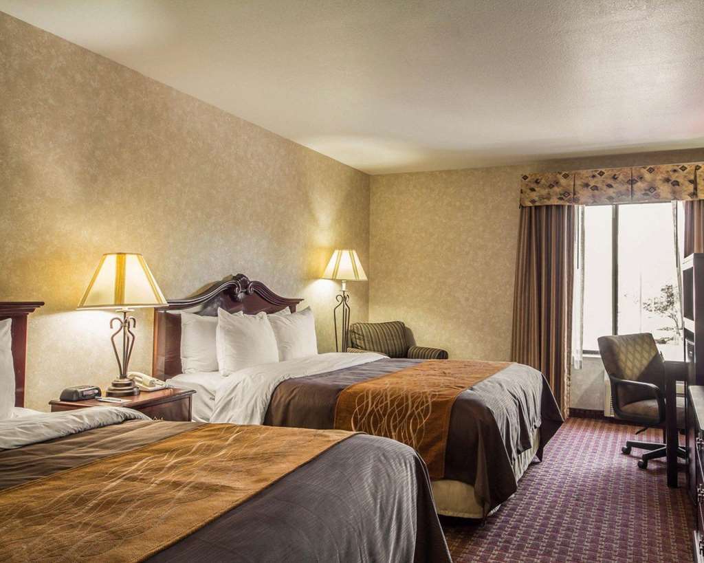 Comfort Inn Silicon Valley East Fremont Phòng bức ảnh