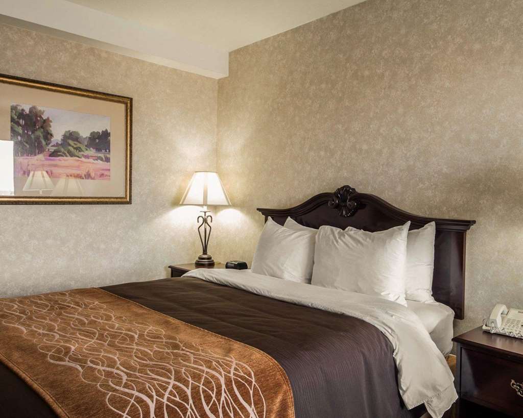 Comfort Inn Silicon Valley East Fremont Phòng bức ảnh