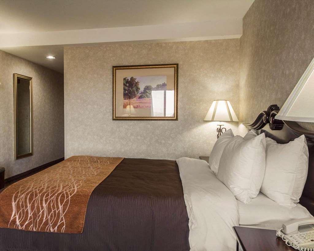 Comfort Inn Silicon Valley East Fremont Phòng bức ảnh