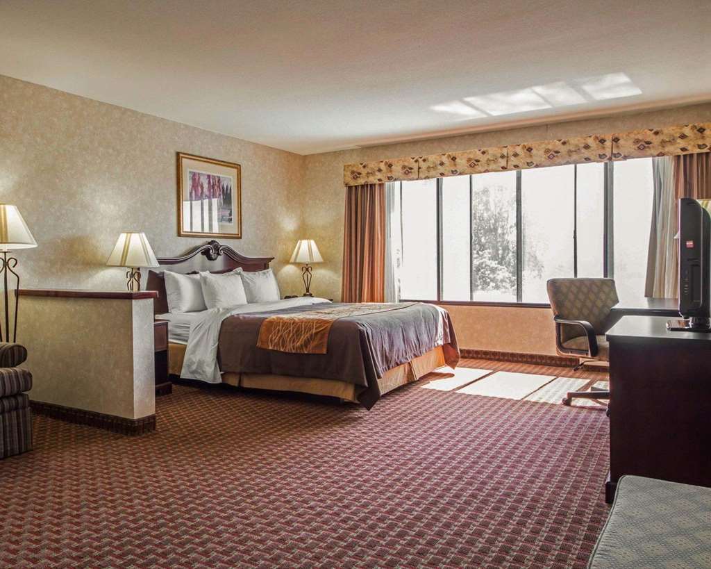 Comfort Inn Silicon Valley East Fremont Phòng bức ảnh