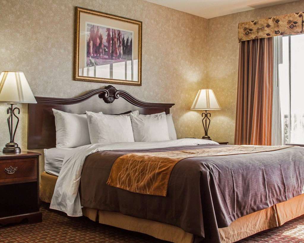 Comfort Inn Silicon Valley East Fremont Phòng bức ảnh