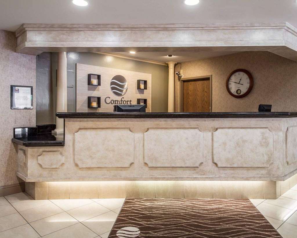 Comfort Inn Silicon Valley East Fremont Nội địa bức ảnh