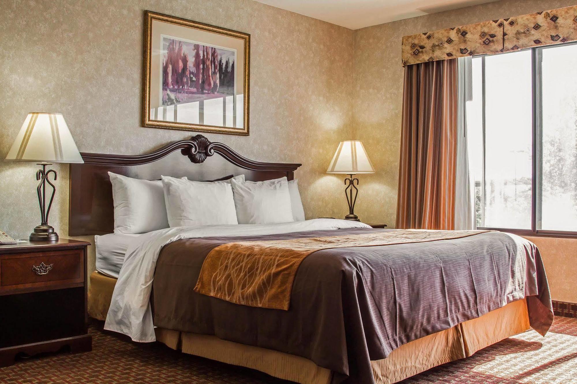 Comfort Inn Silicon Valley East Fremont Ngoại thất bức ảnh